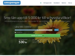 SMSPengar